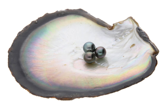 黒蝶真珠は「黒真珠」と違う?どこで買う?正しい選び方からネックレスやペンダントの使い方まで解説