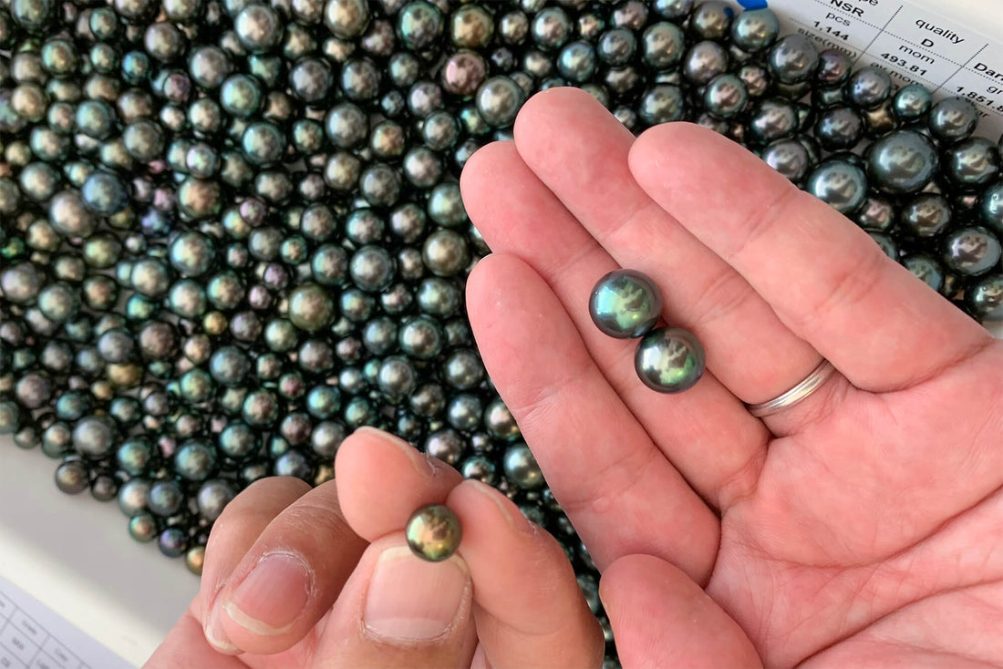 【タヒチパール】価値あるタヒチパールとは?ネックレスやペンダントの選び方もご紹介