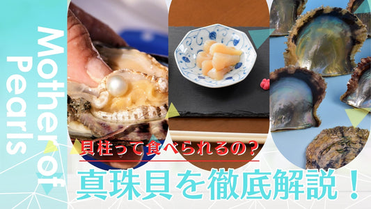 真珠貝を徹底解説!
