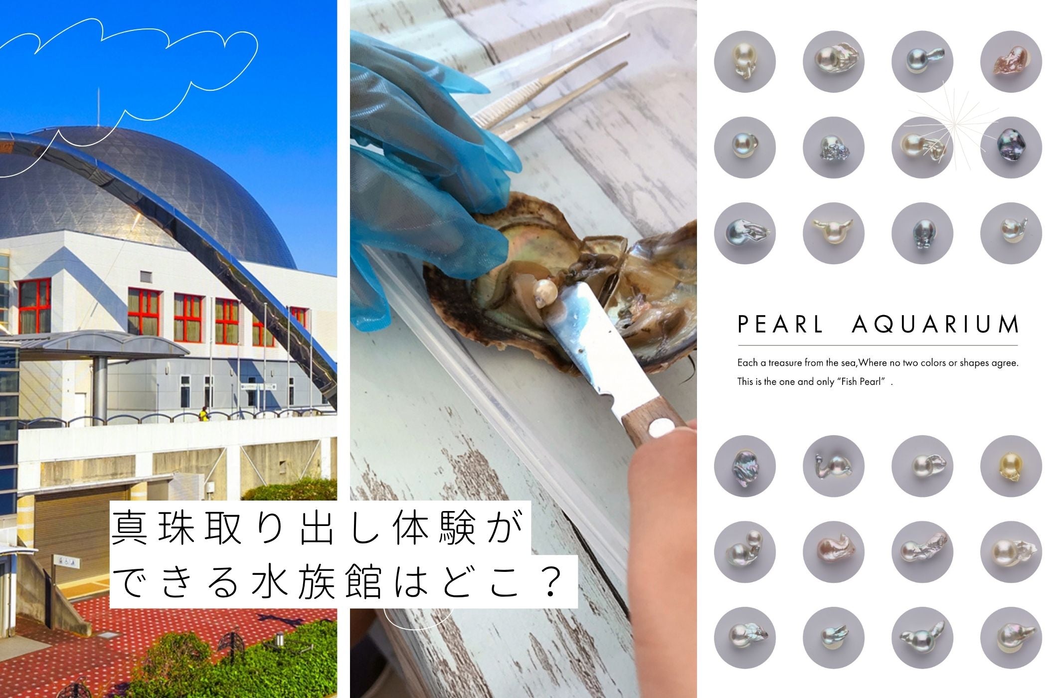 真珠取り出し体験ができる水族館14選！パールアクセサリー作りワーク