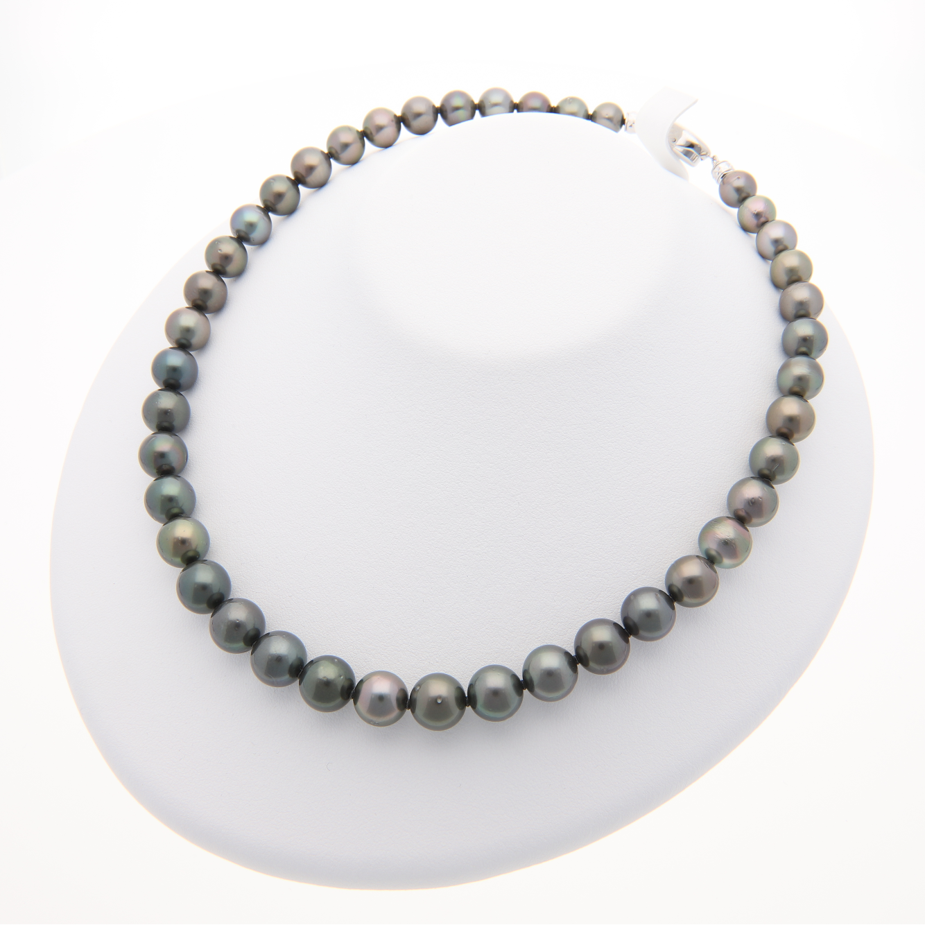 クロチョウパール ネックレス 8.4-11.0mm|K14WG イヤリングセット|無 クロチョウパール ネックレス 8.4-11.0mm|K14WG イヤリングセット|無