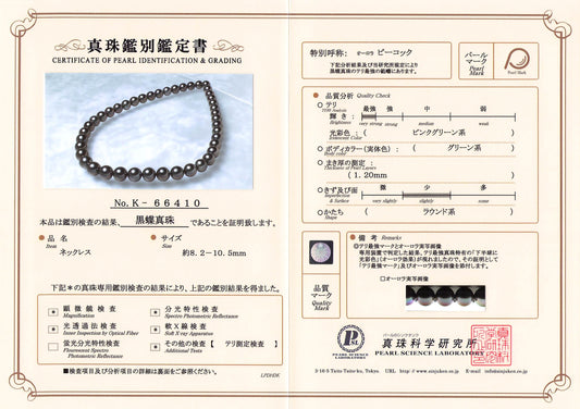 ブラックパールネックレス 無調色 黒蝶真珠 8.2-10.5mm|オーロラピーコック テリ最強 まき1.2mm ラウンド系 きず少|K66410