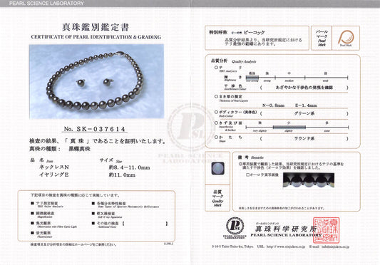 ブラックパールネックレス K14WG イヤリングセット 無調色 黒蝶真珠 8.4-11.0mm|オーロラピーコック テリ最強 まき0.8mm ラウンド系 きず少|SK037614