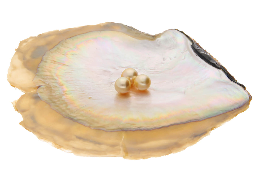 ゴールデンパールの価値を徹底解説！天然色と染色ゴールドの見分け方やおすすめコーデも紹介