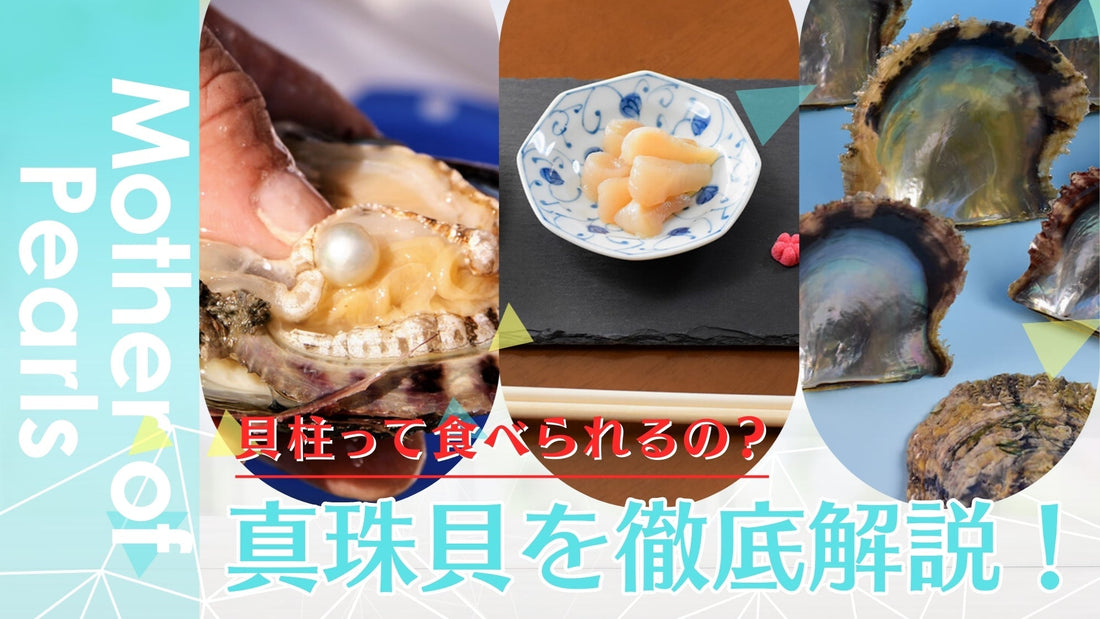 真珠貝を徹底解説！