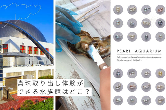 真珠取り出し体験ができる水族館はどこ？