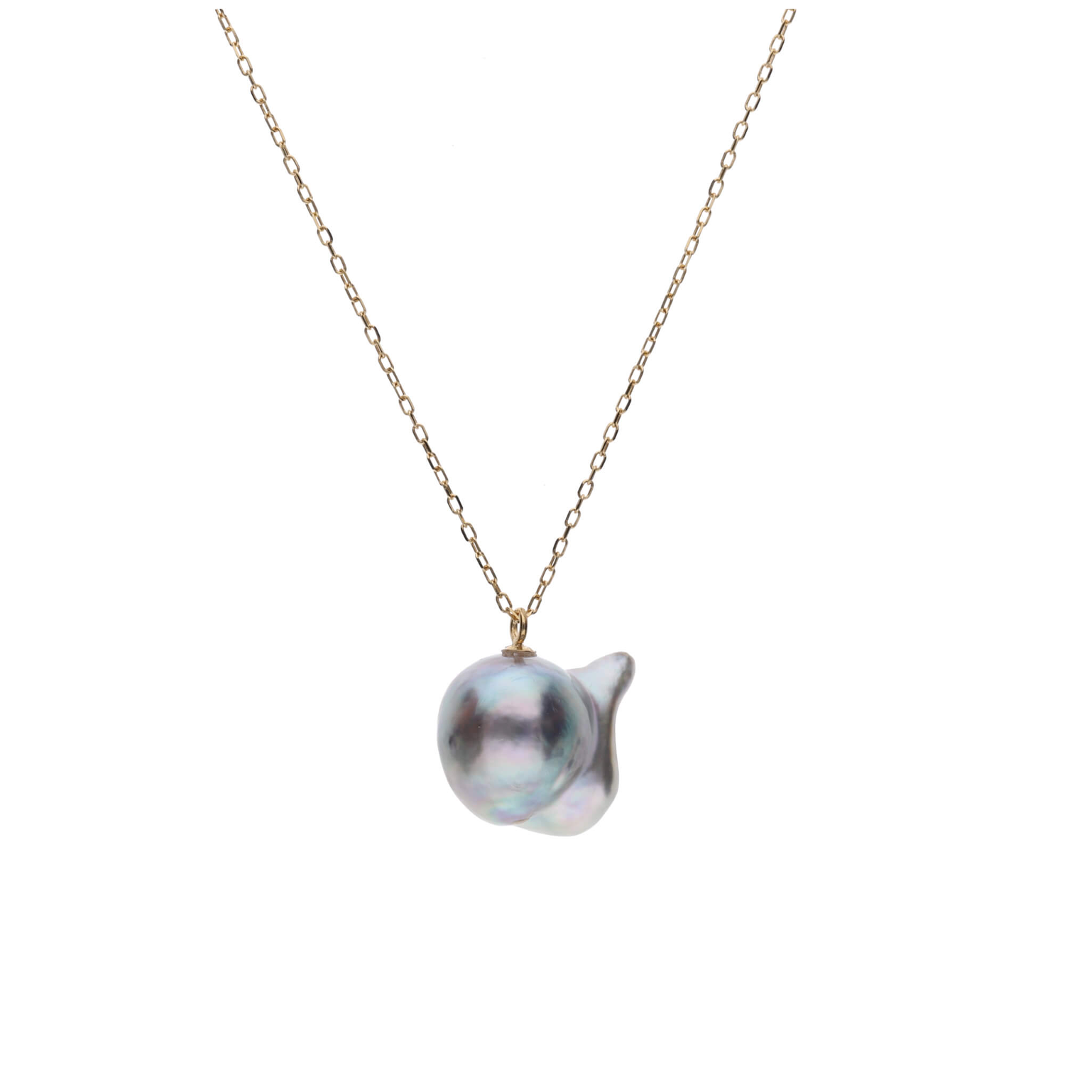 おさかな真珠®️特集