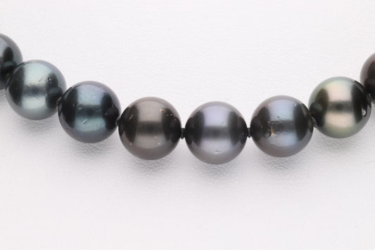 黒蝶真珠（タヒチ） ブラックパールネックレス 2点セット 9.0 -11.8mm  ラウンド系  約43cm